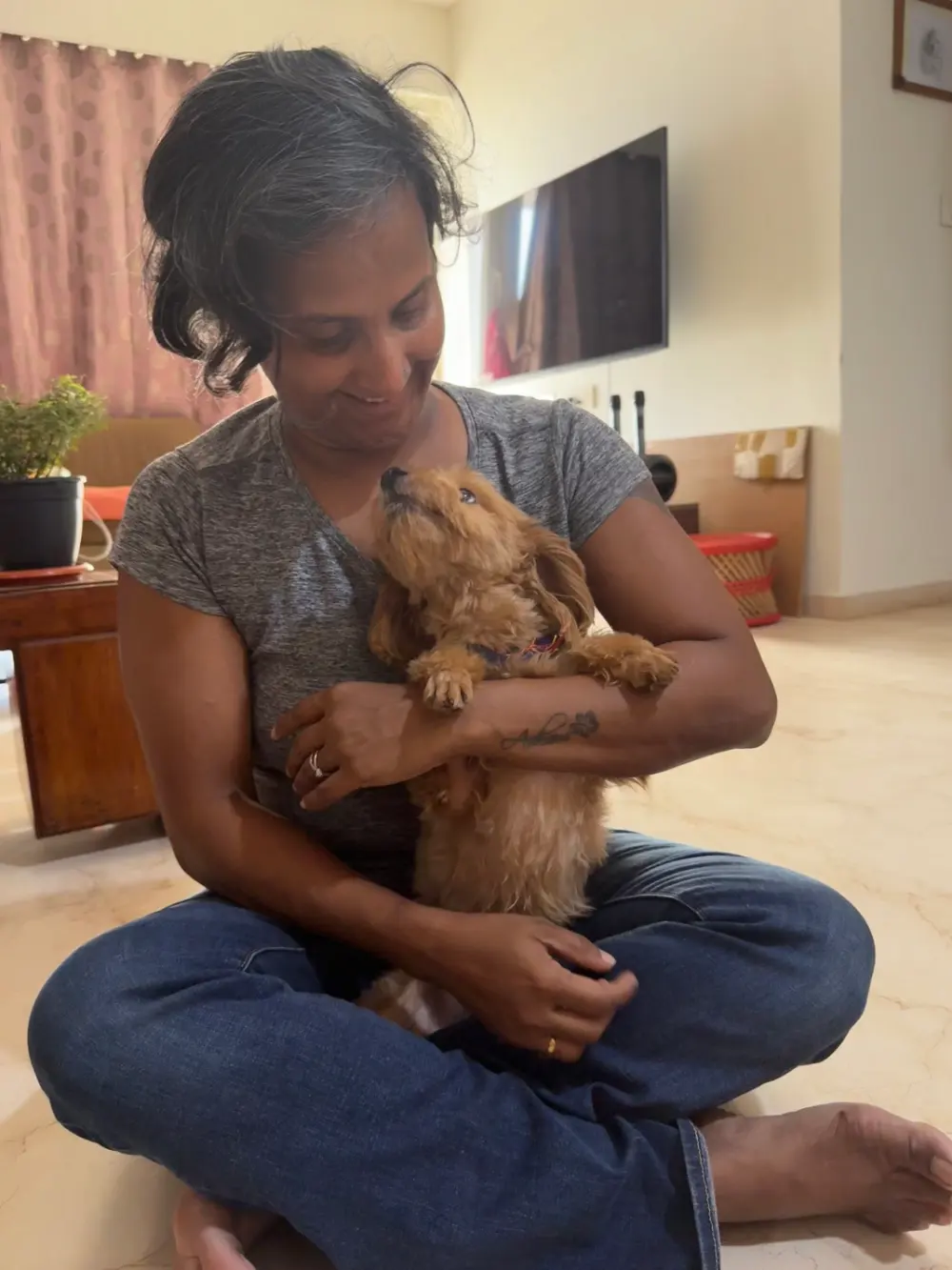 Puppy Training/Consultation